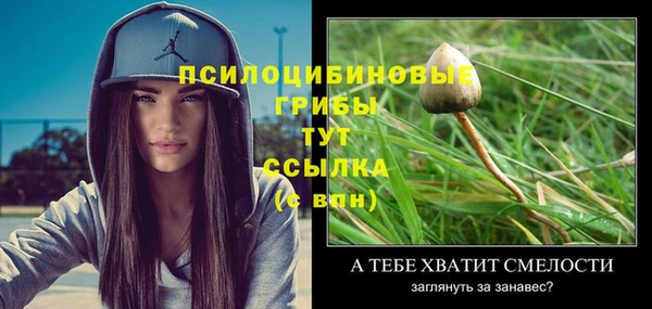 прущая мука Дмитровск