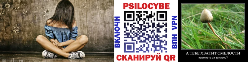 Галлюциногенные грибы GOLDEN TEACHER  Купить где  Кимовск 